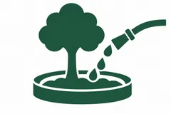 Water supplied around a newly planted tree