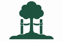 A tree supported by two stakes and ties