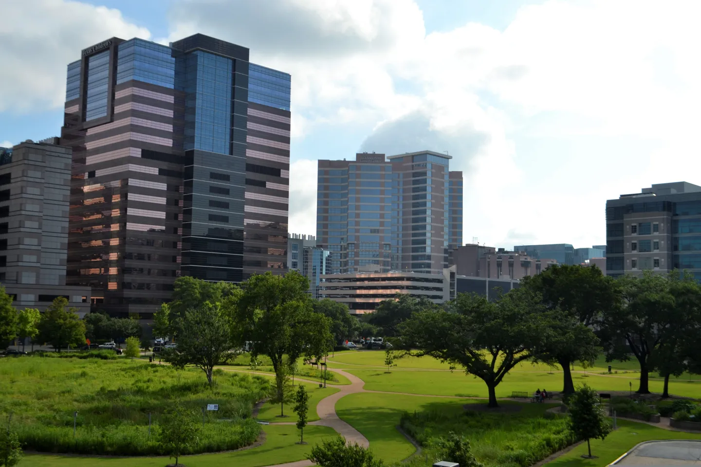 Green space among city buildings
