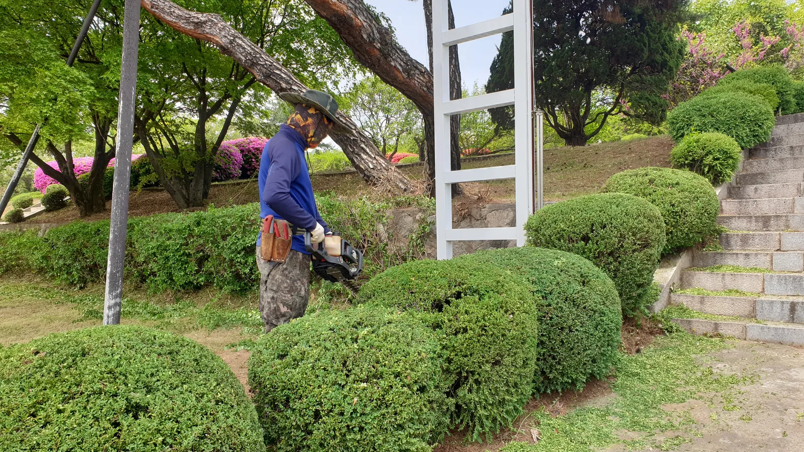 Shrub pruning and green-space care
